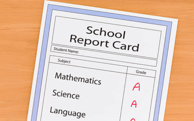 Final Report Cards